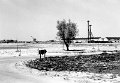 Rottummerplaat start bouw van de 3 flatgebouwen 1970